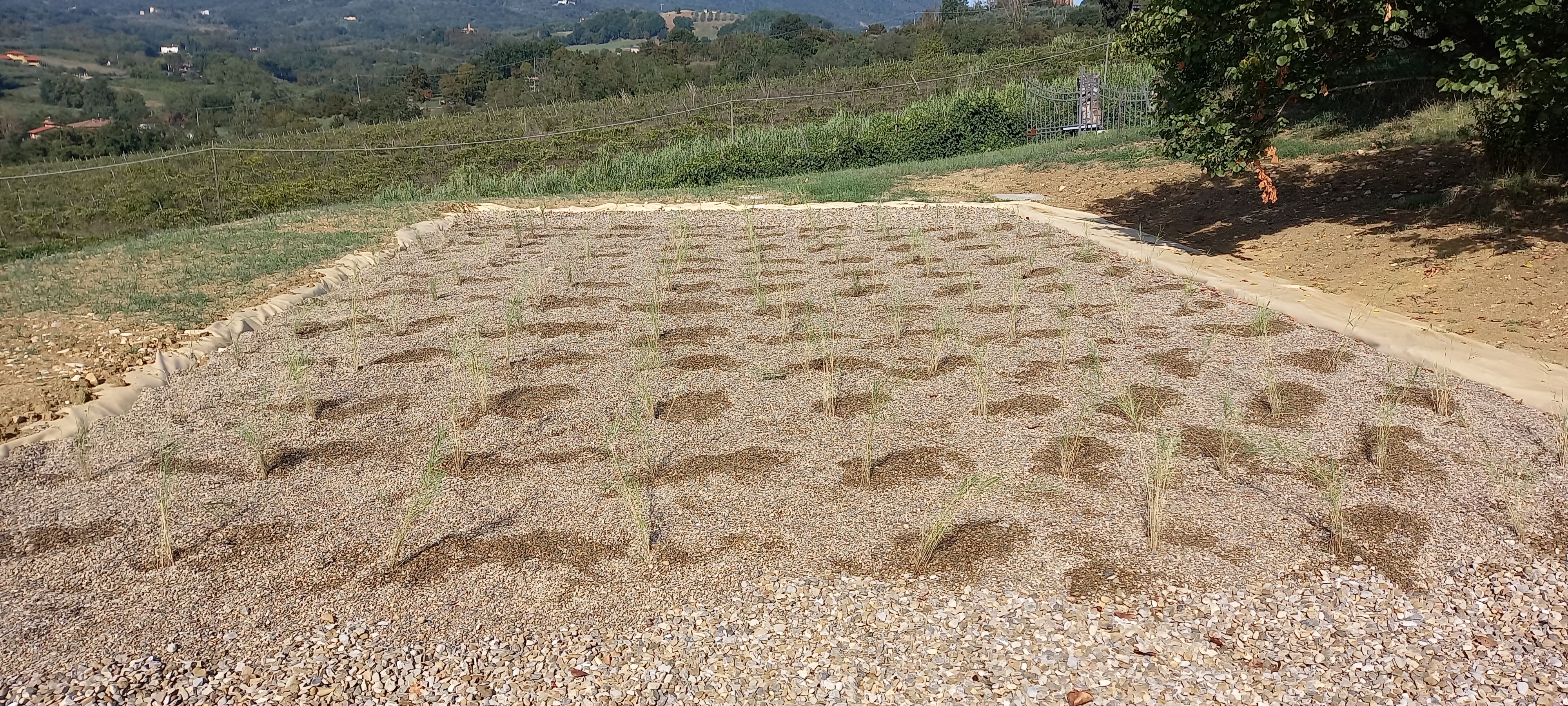 Impianto di fitodepurazione a flusso orizzontale progettato per agriturismo da 30 abitanti equivalenti